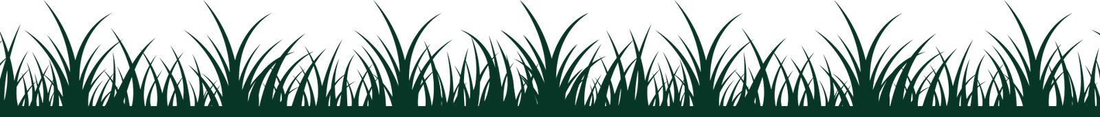 Garden Contractor in Jaipur