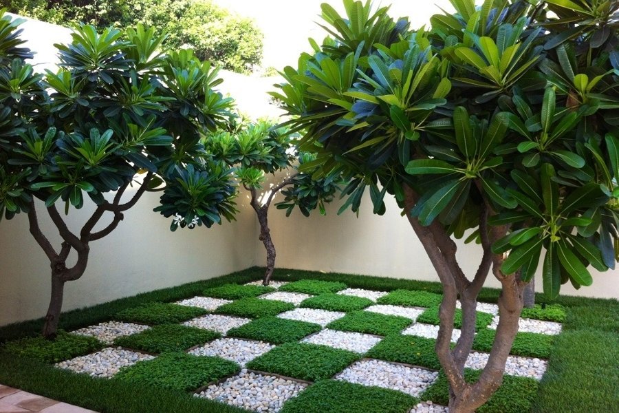 Garden Contractor in Jaipur