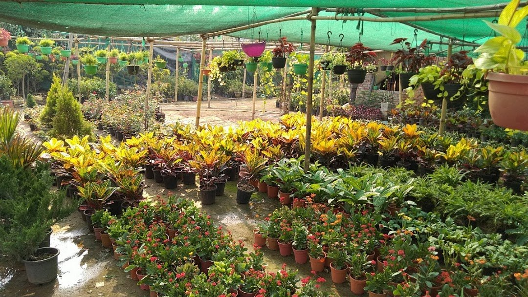 Garden Contractor in Jaipur