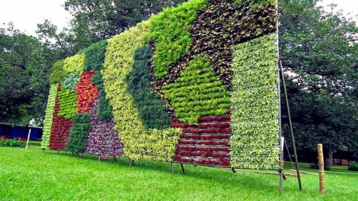 Garden Contractor in Jaipur